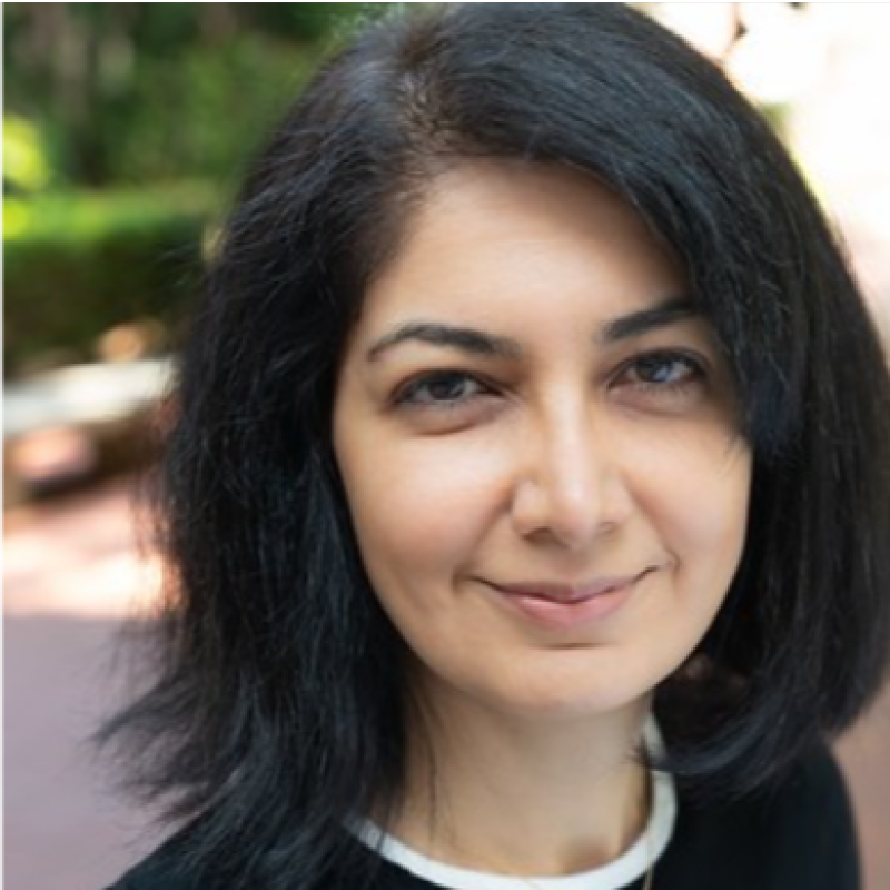 Headshot of Homa Hosseinmardi